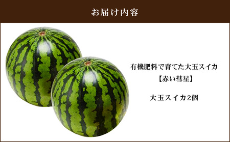 有機肥料で育てた大玉スイカ【赤い彗星】（2個入り）　M002-004