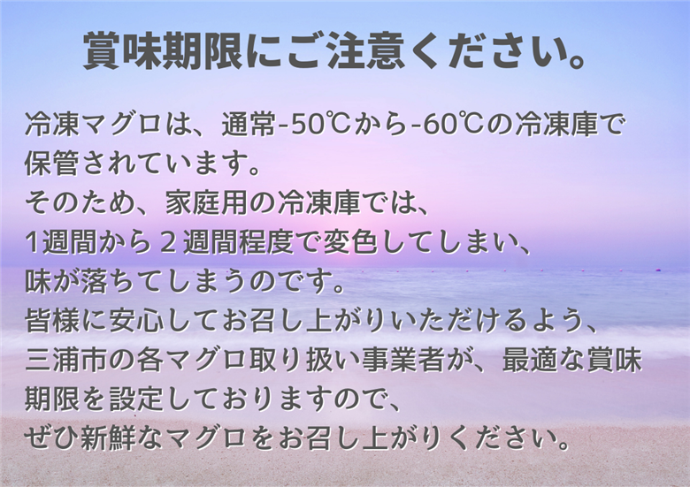 原材料は100%まぐろだけ！混ざりなし！天然まぐろのねぎとろ 200g×2P（約4人前）　M005-007