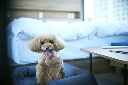 スペースキーポイント リビエラシーボニアマリーナ利用券【3万円分】　M009-002