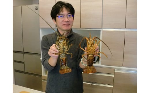 新鮮！天然活伊勢海老と天然活あわび　M030-015