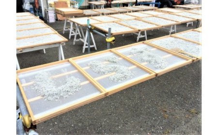 【期間限定】しらす漁師直売！「湘南釜揚げしらす・ネギトロセット」D　M050-004