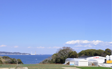 みうらみるくとみうらみるくジャム　M091-002