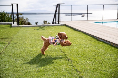 【MOROISOSO】1泊宿泊券（最大18名様まで）　M093-001