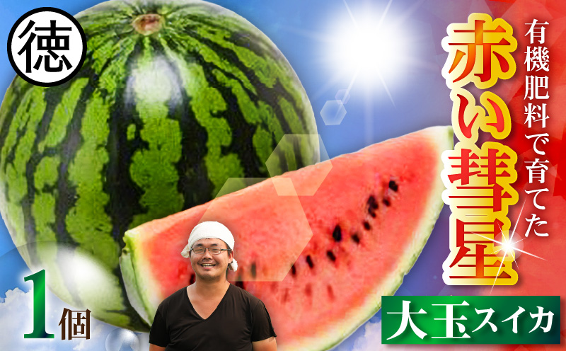 有機肥料で育てた大玉スイカ【赤い彗星】（1個入り）　M002-007