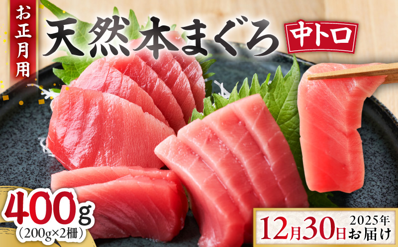 【お正月用C】天然本鮪中とろ2柵（2025年12月30日にお届け）　M005-052