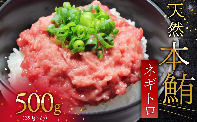 天然本鮪ネギトロ 250g×2パック　M007-005