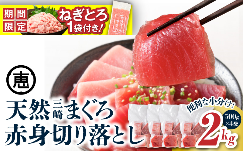 【期間限定 ねぎとろ付き】＜選べる＞復活！当店人気！20人前！天然三崎まぐろ 赤身 切落し 2kg（500g×4袋）　M020-014-02-cp