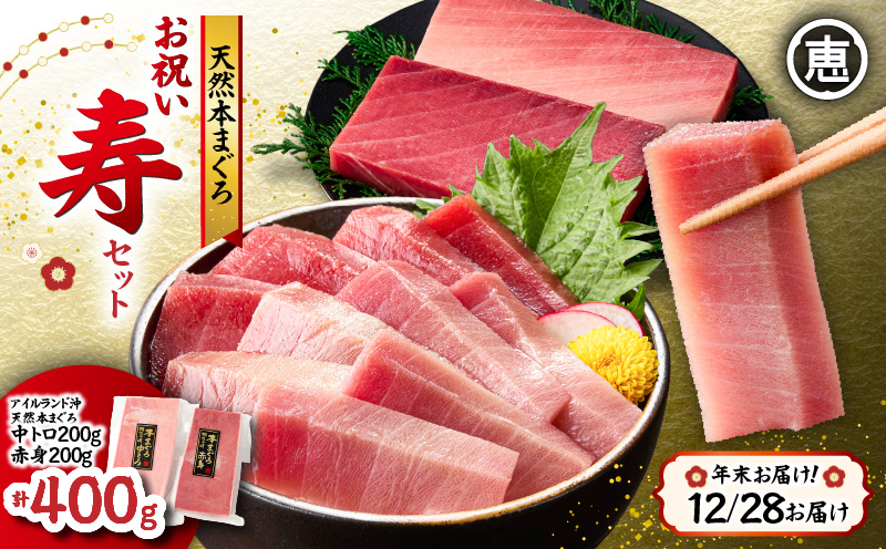 【年末・正月用/12月28日お届け】天然 本まぐろ お祝い寿セット 中トロ200g 赤身200g 迎春 三崎まぐろ 三崎恵水産　M020-021-01