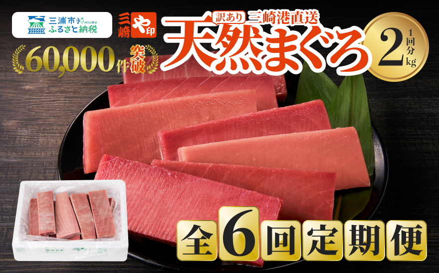 【全6回定期便】老舗三崎まぐろ問屋から直送！天然マグロ赤身 2kgをお届け　M063-T10