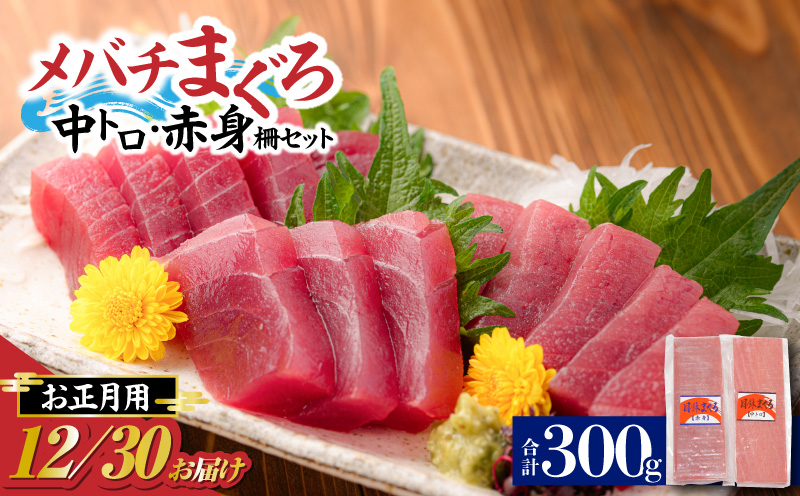 お正月用 メバチ鮪 柵セット（神奈川県漁連）　M077-006-02