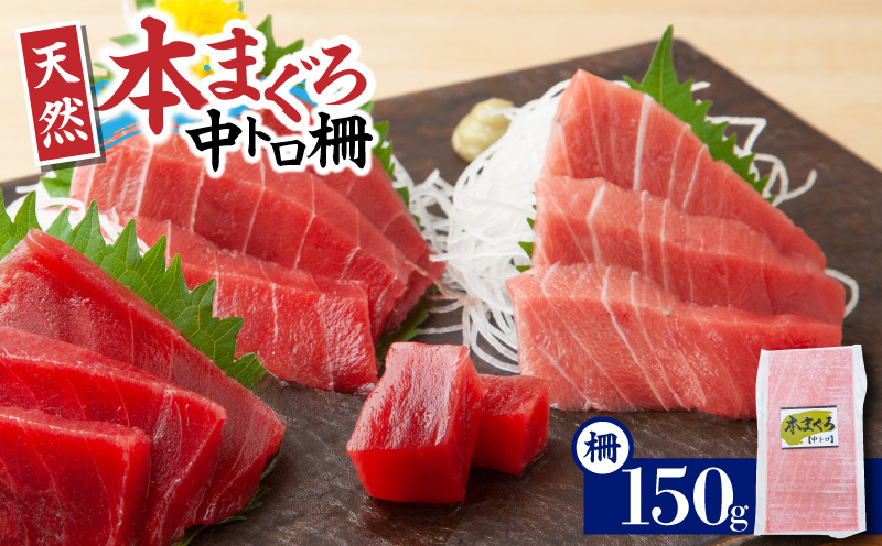 神奈川県漁連 天然本マグロ 中トロサク　M077-012-02