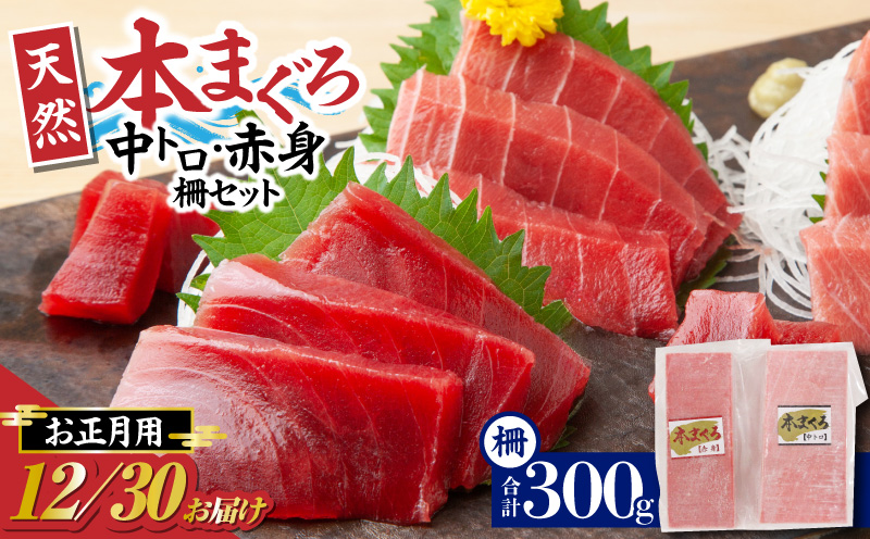 【年内発送】神奈川県漁連 天然本マグロ 中トロ・赤身セット【お正月用】　M077-013-03