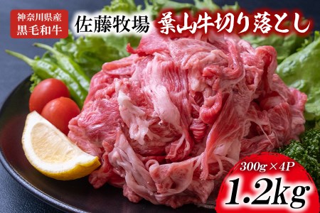 【神奈川県産黒毛和牛】三浦市の佐藤牧場が育てた葉山牛 切り落とし4P　M079-006-03