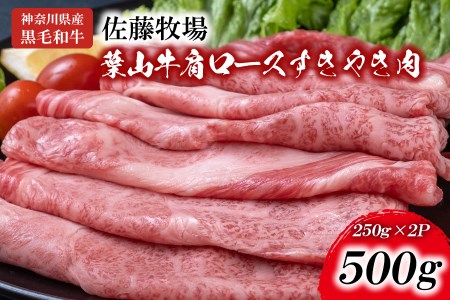 【神奈川県産黒毛和牛】三浦市の佐藤牧場が育てた葉山牛 肩ロースすき焼き肉2P　M079-007-01