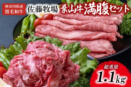 【神奈川県産黒毛和牛】三浦市の佐藤牧場が育てた葉山牛満腹セット（切落し＋肩ロース）　M079-009