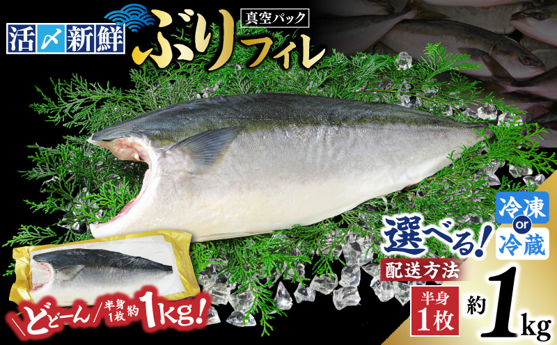 活〆新鮮ぶりフィレ 1枚（半身）　M079-010-01