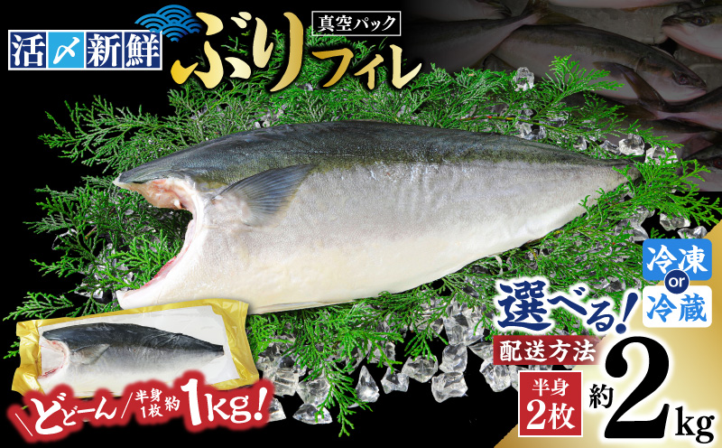 活〆新鮮ぶりフィレ 2枚（半身）　M079-010-02