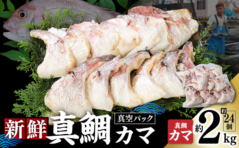 新鮮真鯛カマ （約2kg）　M079-011-02