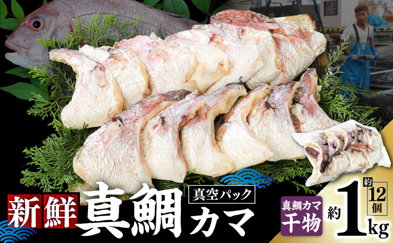 新鮮真鯛カマ干物 （約1kg）　M079-011-03