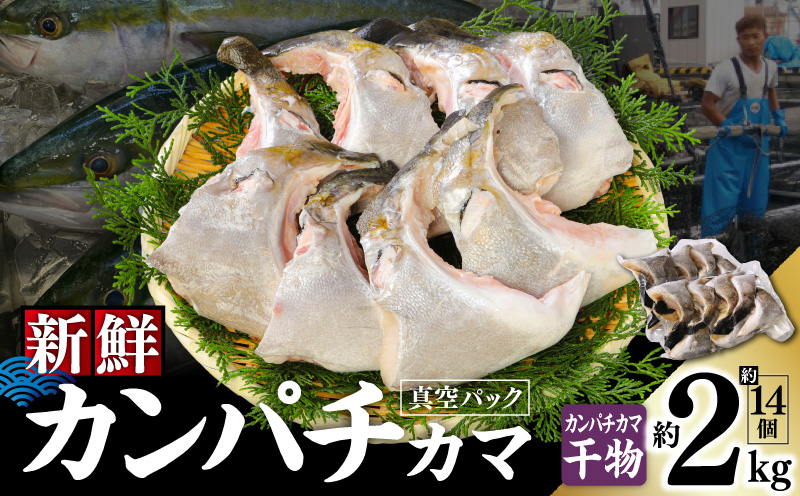 新鮮カンパチ カマ干物 約2kg　M079-012-04