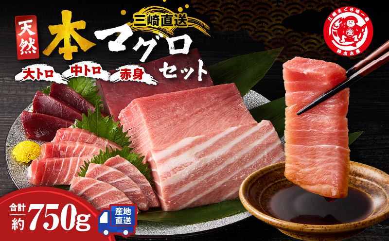 三崎マグロ 鈴木水産 天然本マグロ（大トロ・中トロ・赤身）セット　M105-002