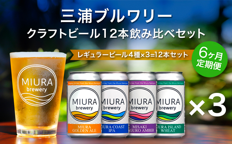 【全6回定期便】【三浦ブルワリー】クラフトビール 12本飲み比べセット　M110-T06