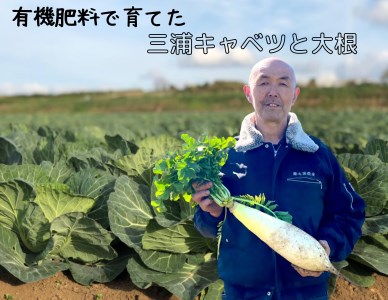 有機肥料で育てたキャベツと大根セット　M002-003