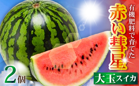 有機肥料で育てた大玉スイカ【赤い彗星】（2個入り）　M002-004
