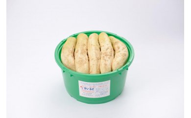 沢庵大樽と野菜セット（ご入金締切2026年1月31日まで）　M002-006