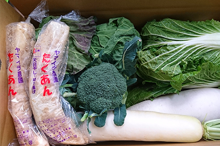 【三浦農家直送】まいるどたくあんと冬野菜セット ※ご入金締切1月15日まで　M003-008