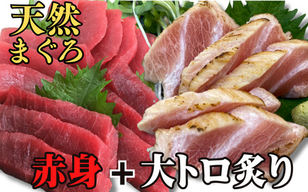 目鉢まぐろ 大トロ炙りと赤身柵セット　M005-008