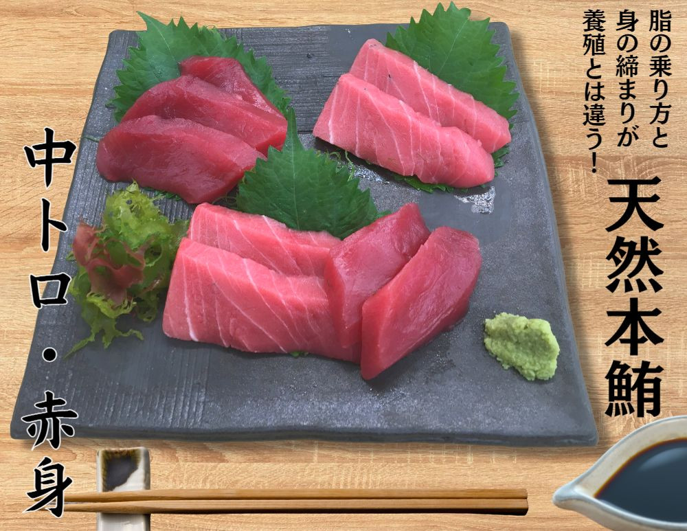 本物の味をお届け！厳選！天然本鮪 中トロ・赤身セット　M005-021
