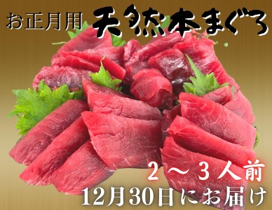 【お正月用】本まぐろ赤身2柵（2025年12月30日にお届け）2～3人前　M005-037