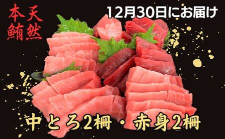 【お正月用B】天然本鮪中とろ2柵・赤身2柵（2025年12月30日にお届け）　M005-051-02