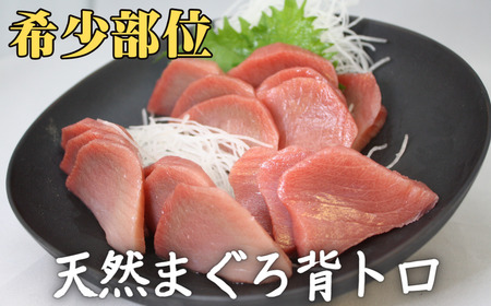 ＜希少部位＞目鉢鮪の背トロ お刺身セット　M005-054