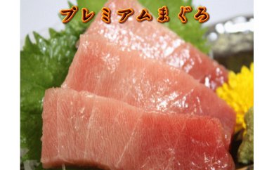 【定期便】まぐろ専門店 湊魚問屋プレミアムまぐろセット 2回分　M005-T01