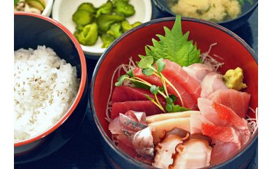 老舗魚屋直営店！まぐろ食堂七兵衛丸ペアお食事券＋まぐろのお土産セット　M006-003-02