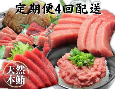 【定期便】天然本鮪詰合せ 4回配送　M007-T08