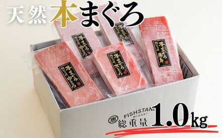 【至極の味わい】天然本まぐろ 1kg（大トロ200g、中トロ400g、赤身400g）　M020-025-01