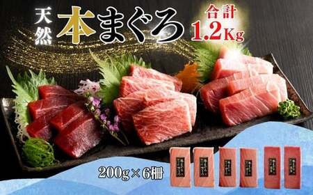 【みんなの心彩る】天然本まぐろ 1.2kg（大トロ400g、中トロ400g、赤身400g）　M020-025-02