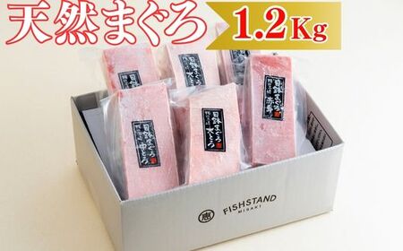 【お箸が止まらない】天然目鉢まぐろ1.2kg（大トロ400g、中トロ400g、赤身400g）　M020-026-02