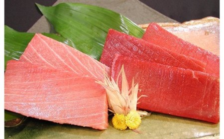 ワンランク上の天然目鉢鮪中とろ・赤身セット 750g　M024-003