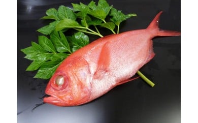 【三崎水揚げ】金目鯛＋味噌漬＆粕漬欲張りセット　M026-007