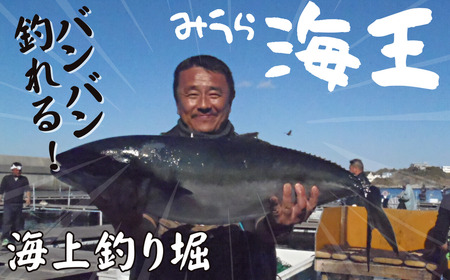 「海上釣り堀みうら海王」無料招待券　M028-001