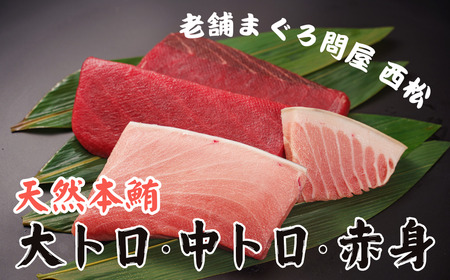 創業以来130年 三崎港老舗問屋「西松」厳選 天然本鮪 満喫詰め合わせ 660g　M040-005