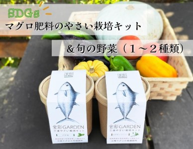 食彩GARDEN三浦やさい栽培キット＆旬野菜　M043-001