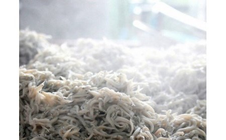 しらす漁師直売！「湘南釜揚げしらすセット」A　M050-001