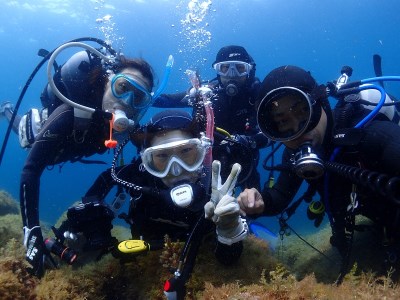三浦半島城ケ島の海で体験ダイビング　M064-001