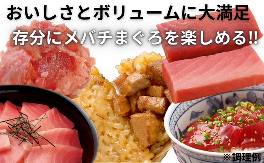 【総量1.1kg】天然メバチまぐろバラエティセット　M073-003
