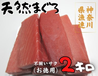 神奈川県漁連 三崎まぐろ 2kg【お徳用】不揃いサク　M077-009